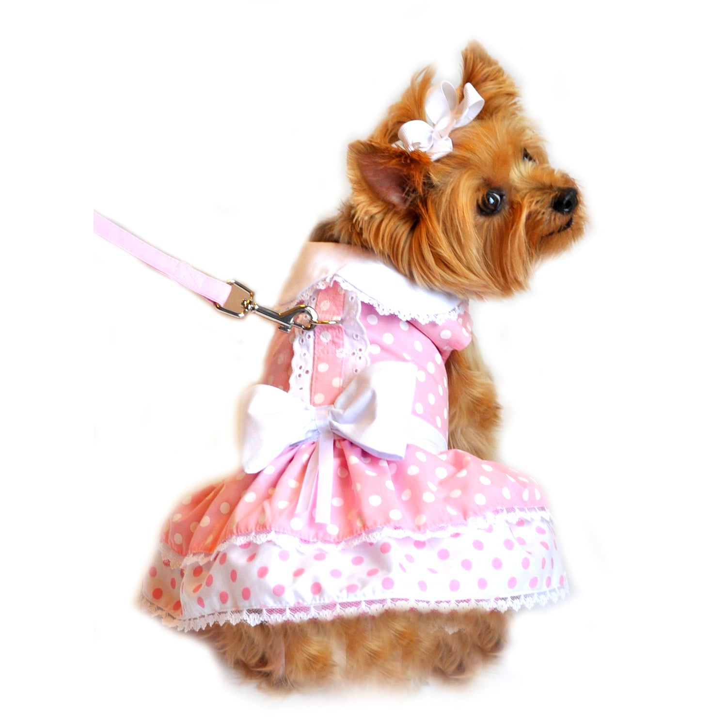 Pink Polka Dot & Lace Dog Harness Dress, on dog, w/ matching leash - Trendy Dog Boutique