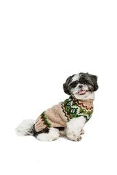 Ragg Wool Fairisle Dog Sweater - Trendy Dog Boutique