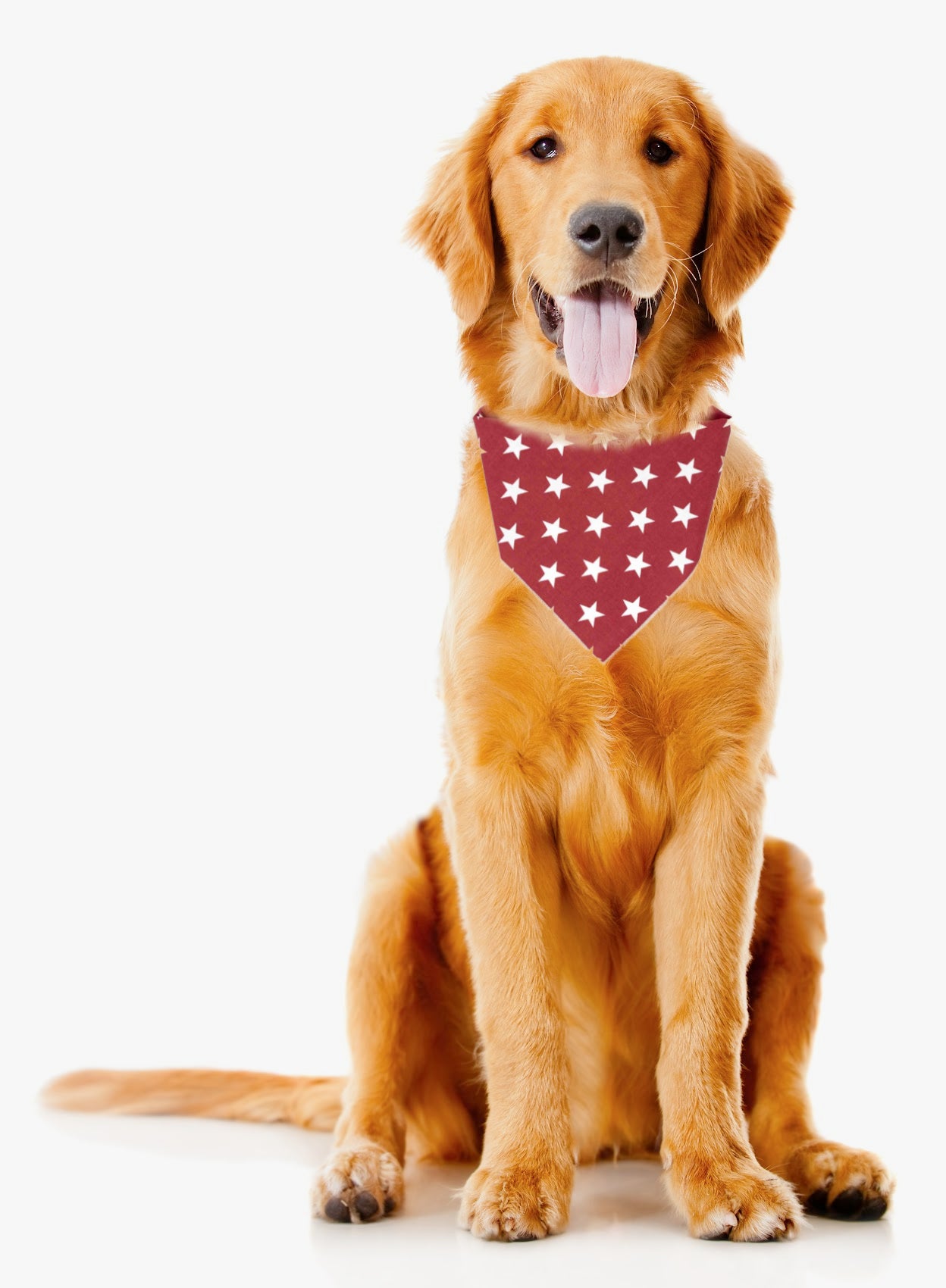 Show Your Pup’s Patriotic Side with This Star Studded Bandana - Trendy Dog Boutique