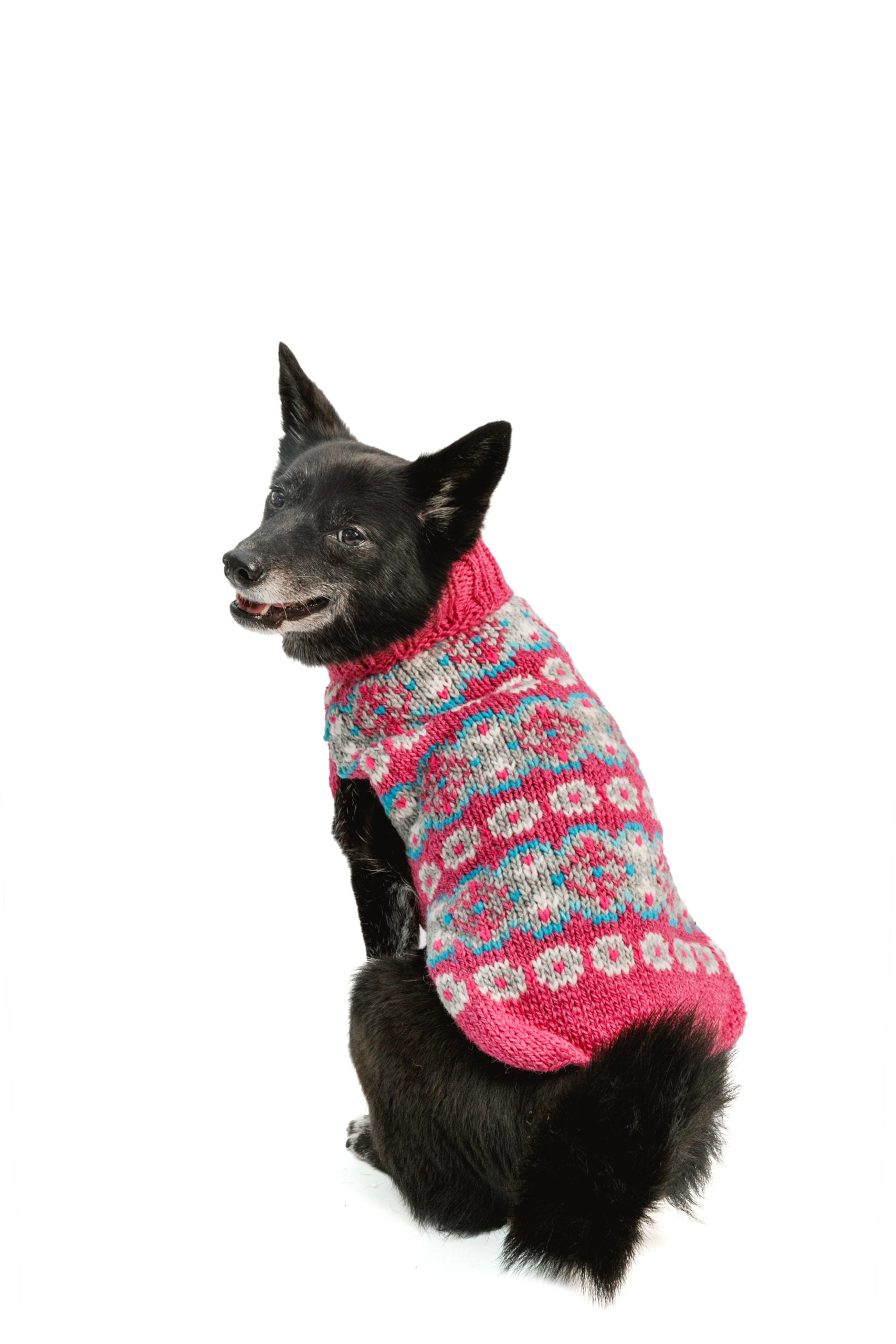 Alpaca Rose Fairisle Dog Sweater, On Dog, Rear View - Trendy Dog Boutique