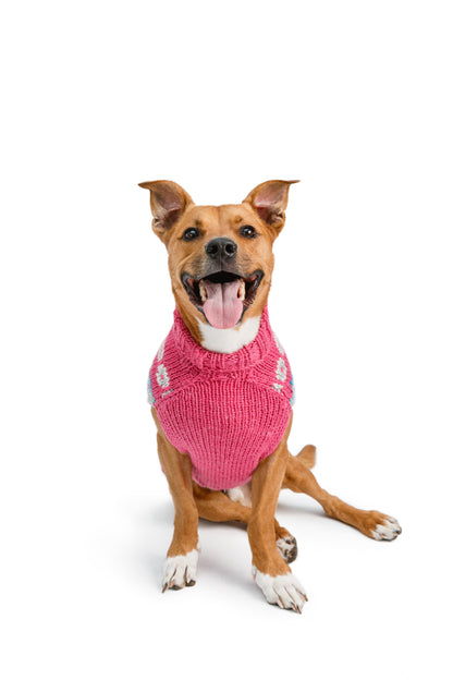 Alpaca Rose Fairisle Dog Sweater, Front View On Dog- Trendy Dog Boutique
