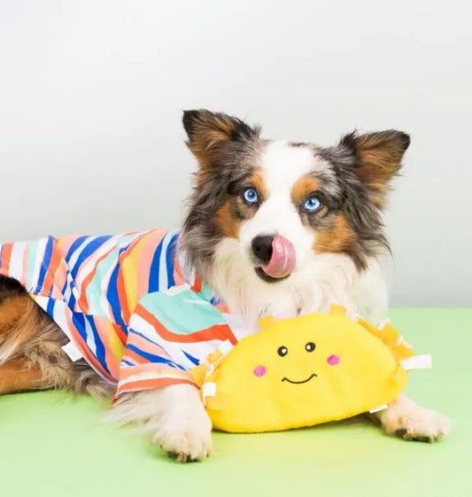 Taco Tuesday Plush Dog Toy, With Dog - Trendy Dog Boutique