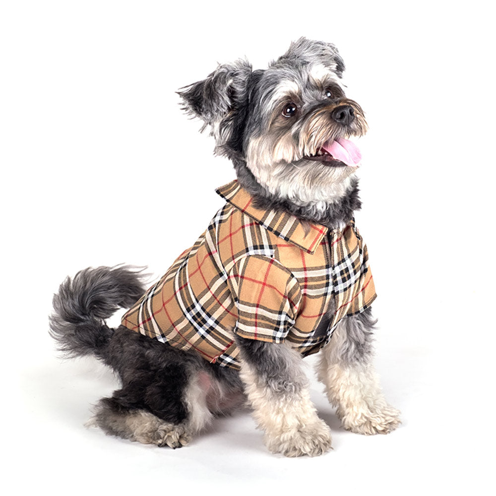 Tan Plaid Dog Shirt, On Dog - Trendy Dog Boutique