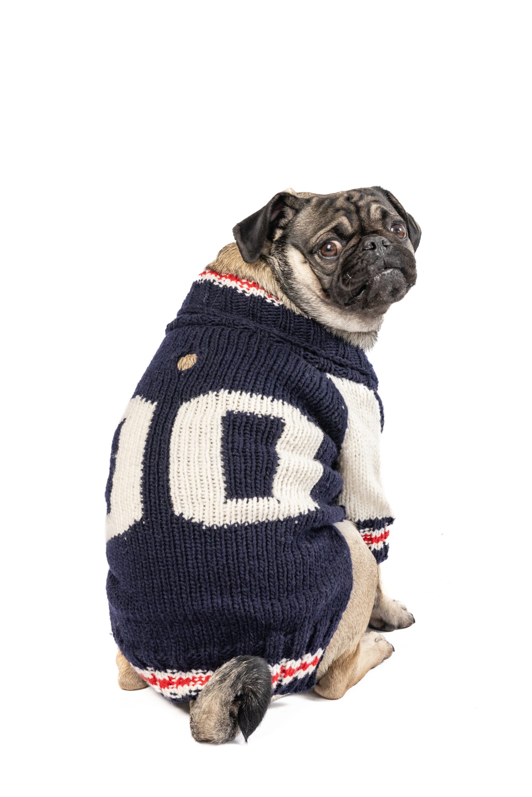 Varsity Dog Sweater, on dog rear - Trendy Dog Boutique