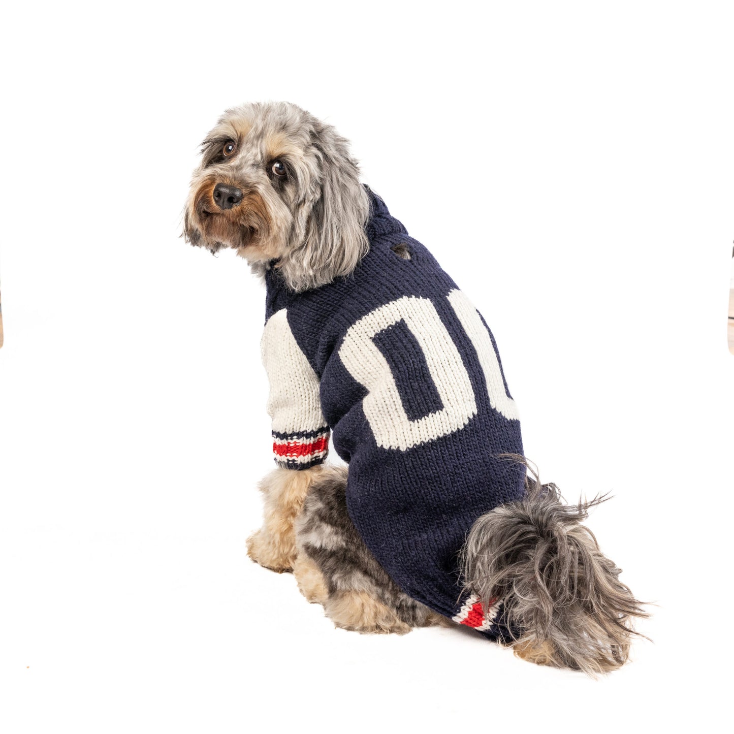 Varsity Dog Sweater - Trendy Dog Boutique