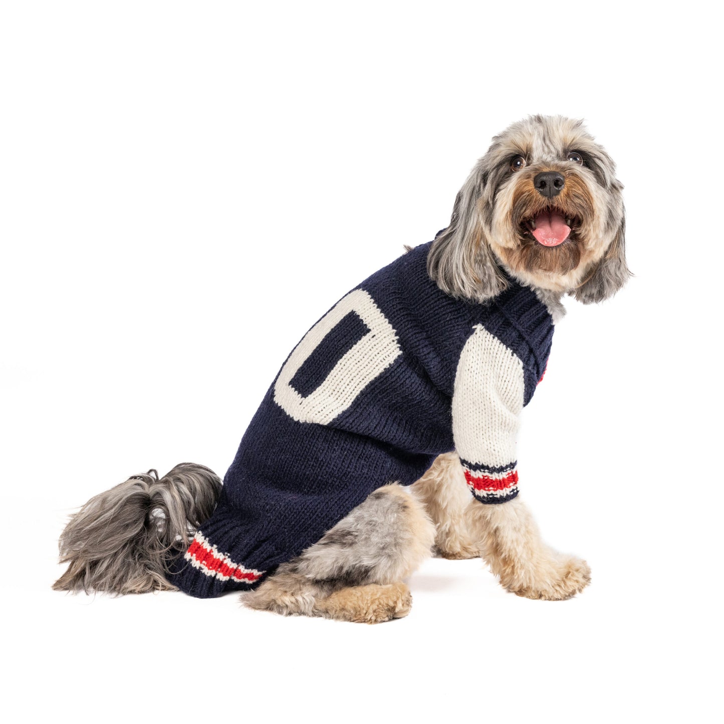 Varsity Dog Sweater, on dog side - Trendy Dog Boutique