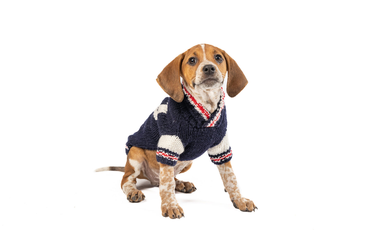 Varsity Dog Sweater, on dog front - Trendy Dog Boutique