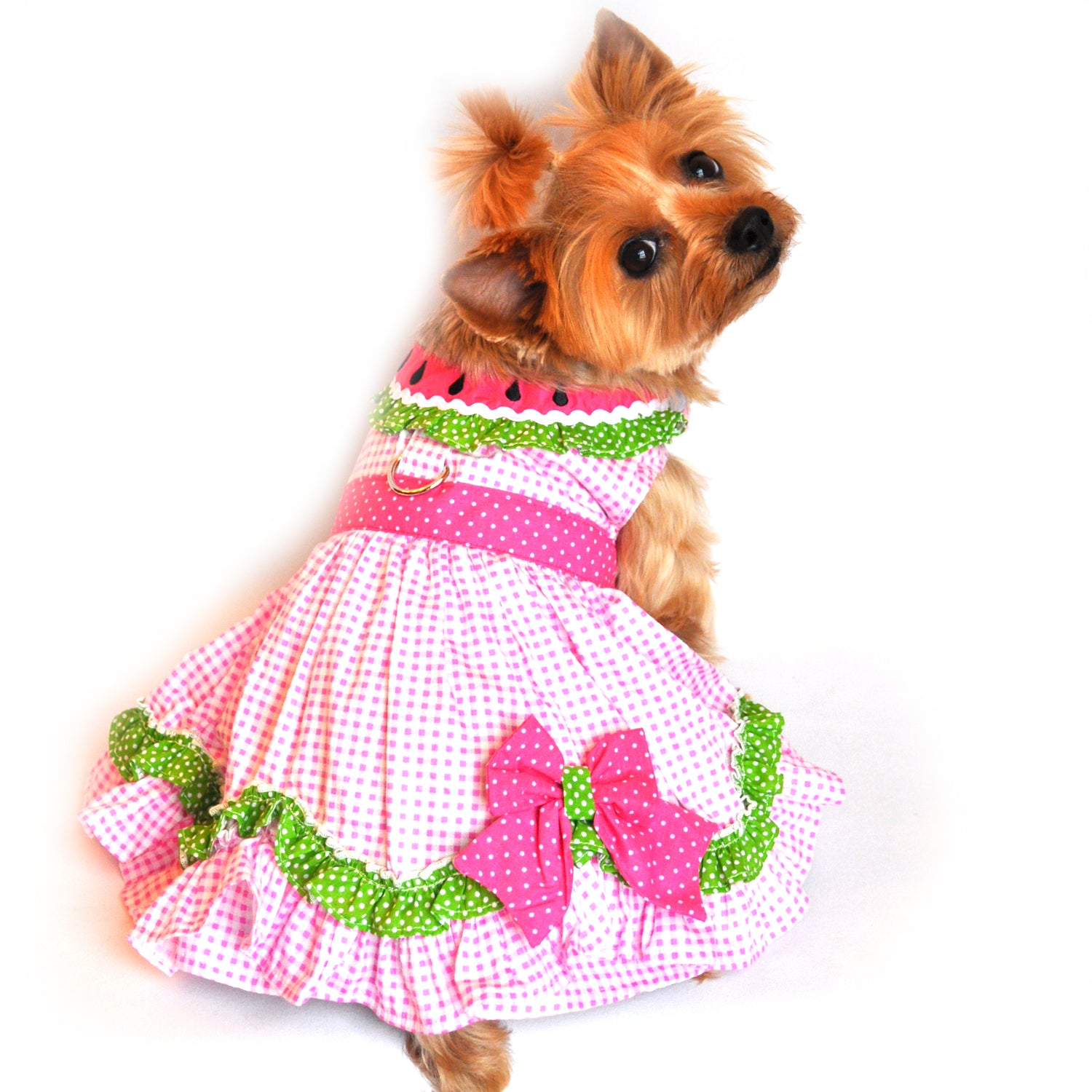 Watermelon Dog Harness Dress, on dog - Trendy Dog Boutique