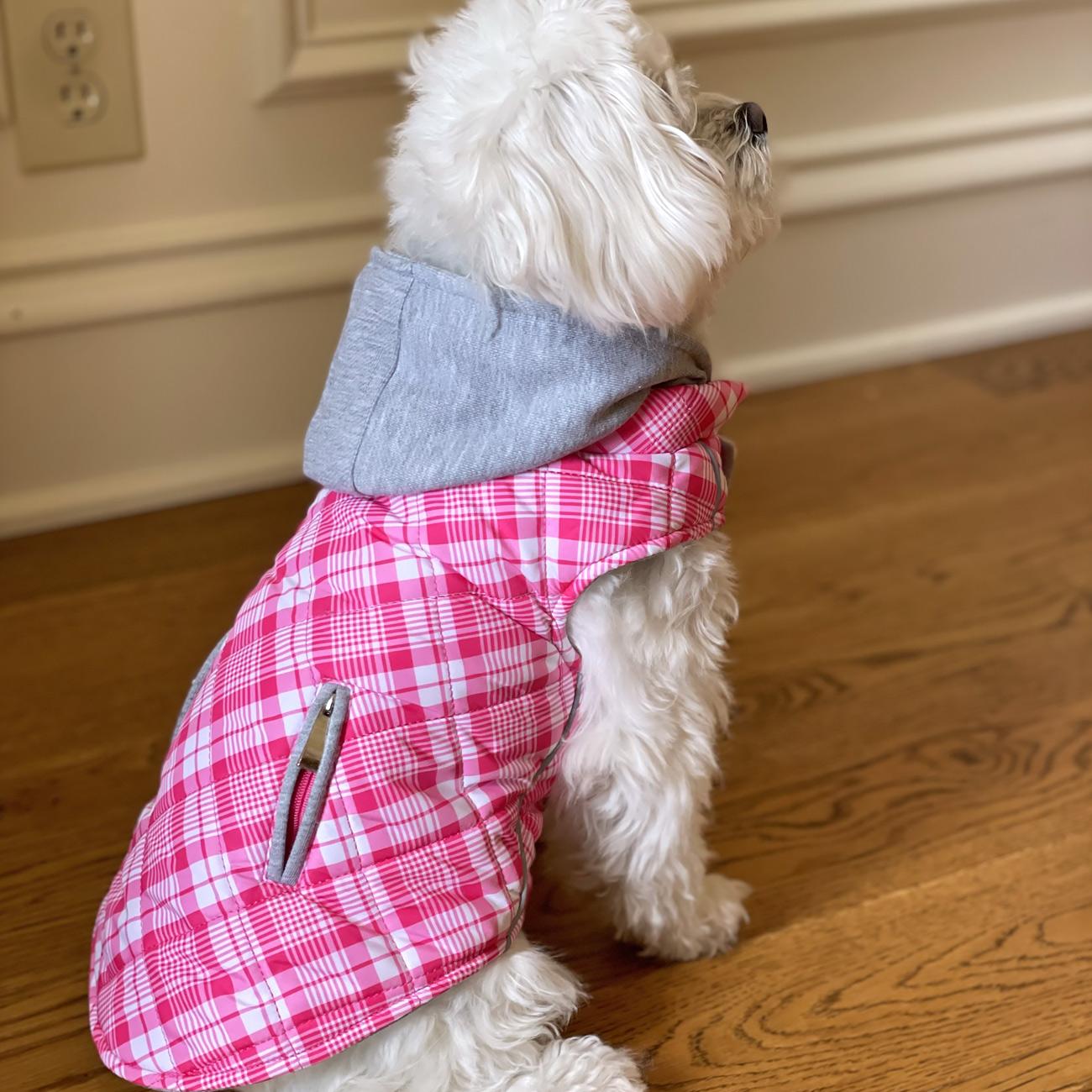 Flannel Weekender Dog Sweatshirt Hoodie - Trendy Dog Boutique