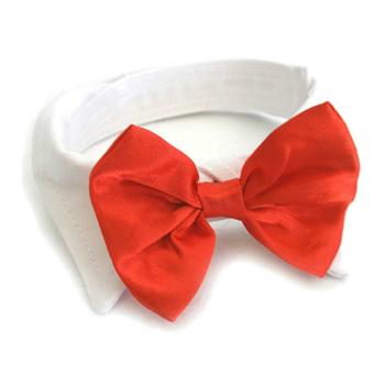 Formal Wear Wedding White Collar and Red Satin Bow Tie, Front View - Trendy Dog Boutique